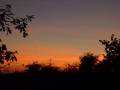 p1000418-jpg