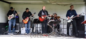 Live-Musik auf der Wiese