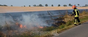 Die Kameraden und -innen rücken mit dem Stahlbesen per Hand den Flammen zu Leibe 