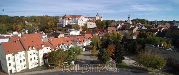 Blick über die Altstadt zum Schloss