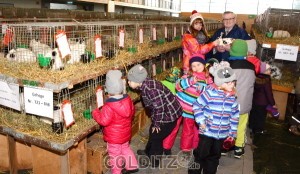 Günter Vehlow gibt den neugierigen Kids Einblick in die Welt der Kaninchen 