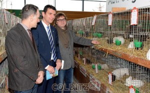 Rundgang durch die Ausstellung: Matthias Schirmer, Landrat Henry Graichen und BM Matthias Schmiedel