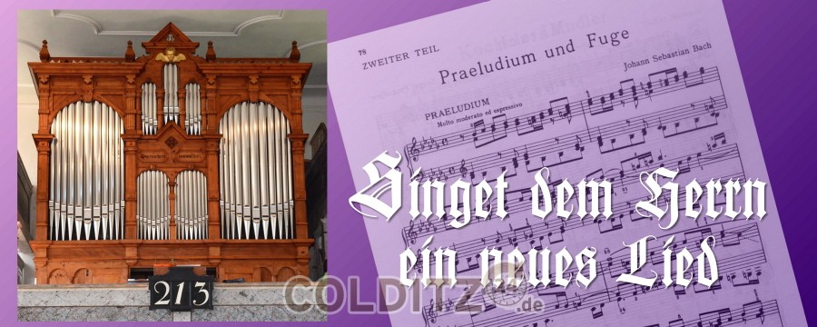 Wiedereinweihung der restaurierten Ladegast-Orgel in Erlbach