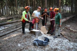 Besprechung der Revierförsterin Barbara Kotschmar, Ausbilder Hartmut Becker mit den Lehrlingen