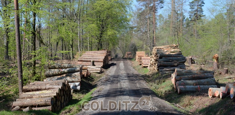 Holzstapel an Holzstapel