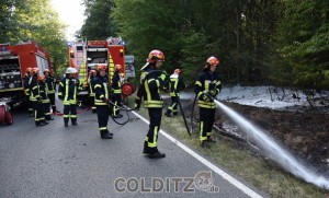 ...den Waldboden mit Löschschaum einseifen