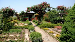 Kleingarten in Colditz