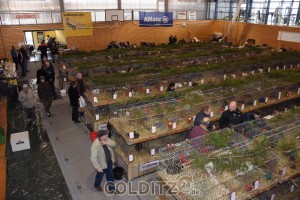 Die Hausdorfer "Arche" gefülltl mit Käfigen