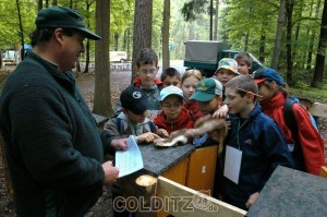 Arbeit mit Kindern im Colditzer Wald - schon 2003