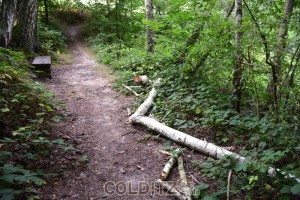 Der Weg am Drechsler-Gedenkstein