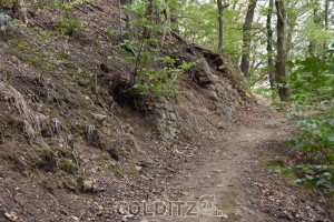 Der Wanderweg zum Heimatturm - ein Genickbrecher