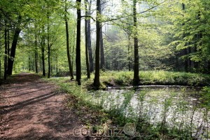 Auf dem Weg durch den historischen Tiergarten mit den Hältern