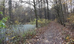 Der Weg, den einst Kurfürstin Sophie mit ihrer Familie ging...