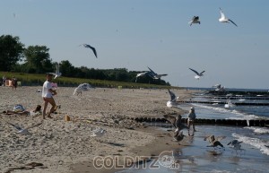 Spaziergang am Strand