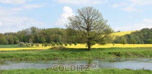 Egal, ob zu Fuß oder mit dem Rad - entlang der Freiberger Mulde bietet sich eine herrliche Landschaft