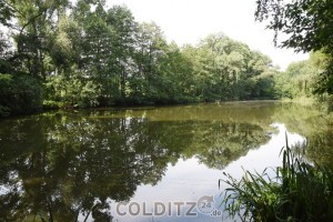 Im Waldstück in der Senke vor Leisenau  - ein idyllischer Teich