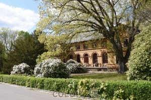 Am Zschadraßer Festsaal