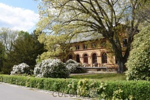 Am Zschadraßer Festsaal