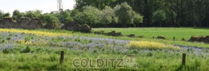 Ein Zschirlaer Bäuerlein ist sehr naturverbunden - auch das geht