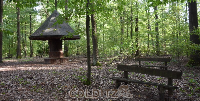 AM Cottaplatz im Colditzer Wald