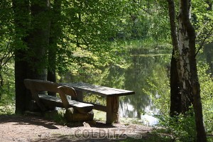 Ein idyllisches Plätzchen am Altteich