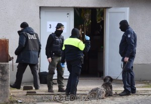 Der Zoll hatte Spürhunde im Einsatz