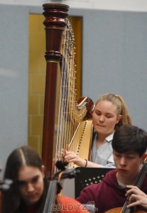 Zarte Klänge aus der Harve