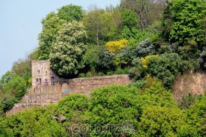 Die Hainburg im Frühjahrskleid