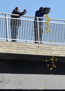 64 Kleine Entchen starten zum Rennen ins Wasser