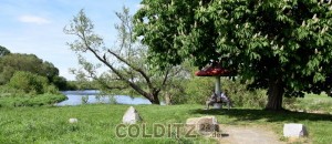 Pause unter´m  schattigen  Pilz