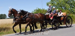 ... wir fahren lieber mit der Kutsche