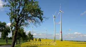 Die 4 Windräder nahe Bockwitz