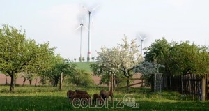 Ländliche Idylle in Bockwitz