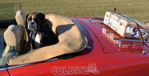 Komme extra aus Zittau und fahre immer gerne mit