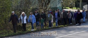 Ist das lt. StVO ein "Fußweg" ???