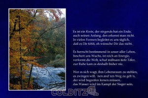 Der Mensch ist nicht stärker als die Natur