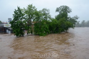 Das Colditzer Wehr 2013