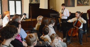 Streich-, Blas- und Tasteninstrument - eine Harmonie